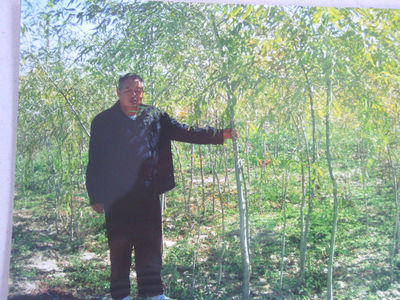 内蒙古巴彦淖尔绿源林业基地